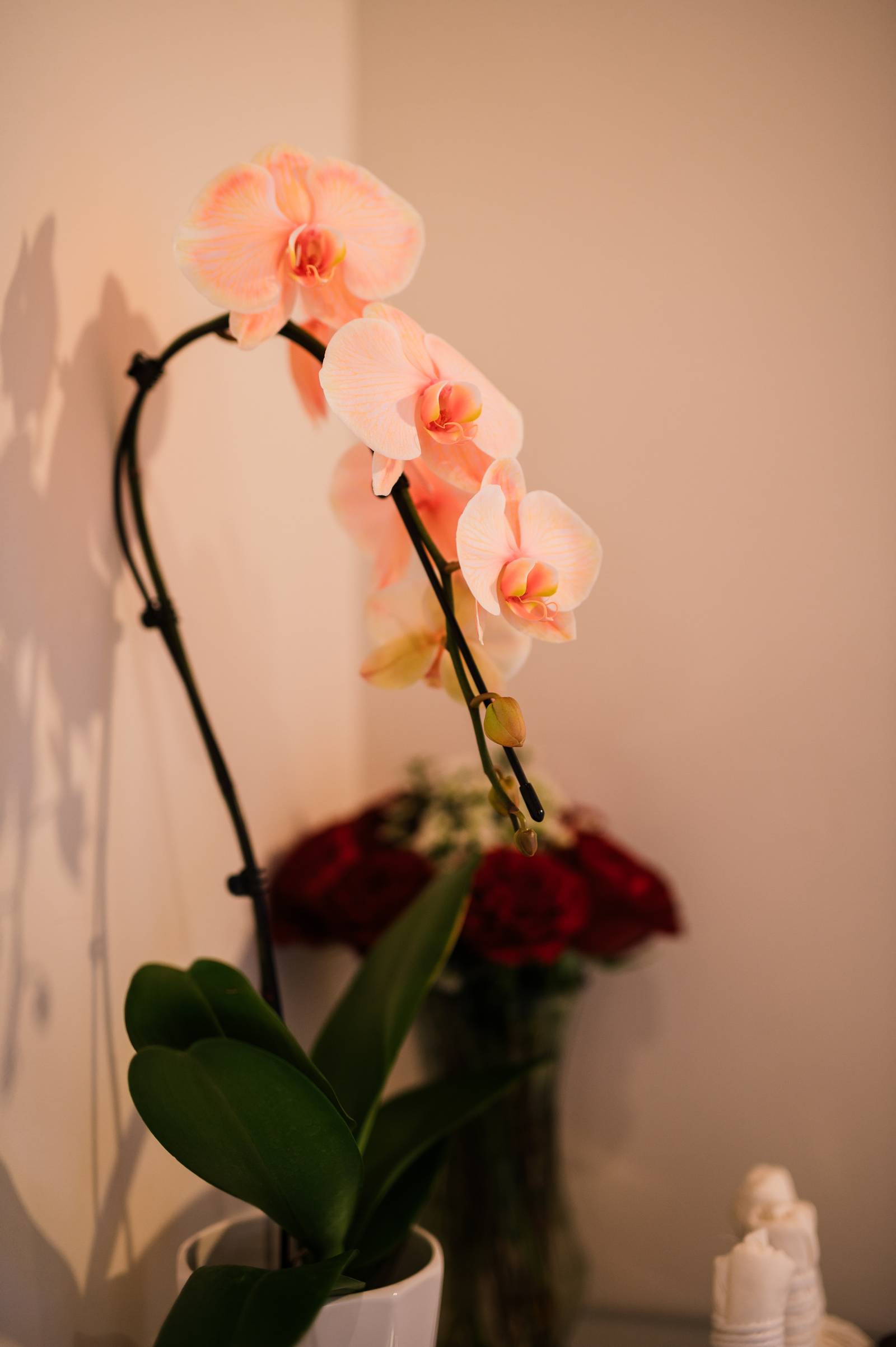Spa lobby with welcoming atmosphere